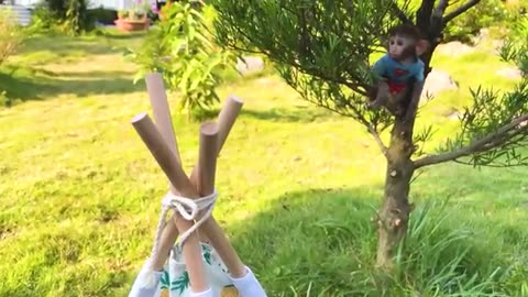 Bebe Mono BonBon Desayuna y Cosecha Frutas y Nada con Mejores Amigos