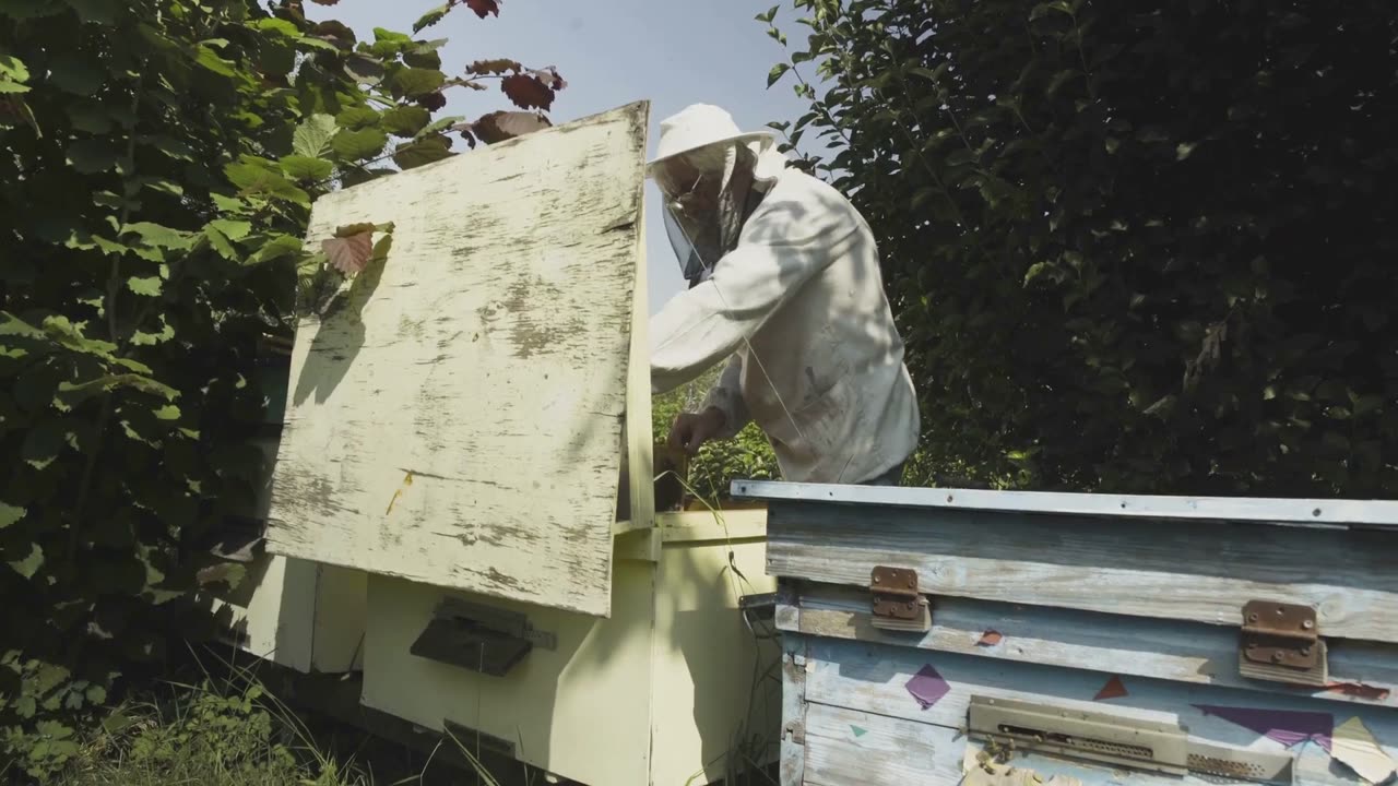 Top 5 Sting-Proof Beekeeping Gloves