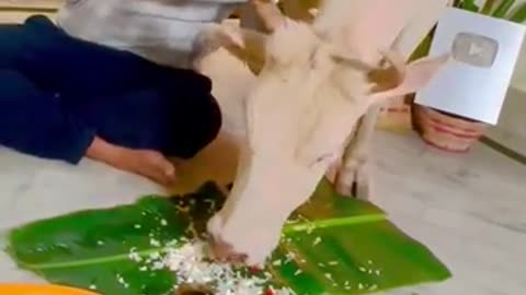 How are you, friend?