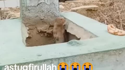 Ustaghfiruallah 😭😭😭