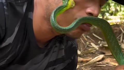 OMG the snake is biting on the cheek.