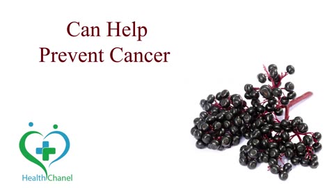 Why Elderberry Is the Ultimate Immune Booster? #Elderberry ElderberryBenefits