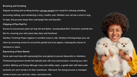 Why Choose Professional Cat Grooming and Spa Services?