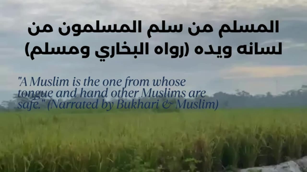 The Beauty of Islam 17