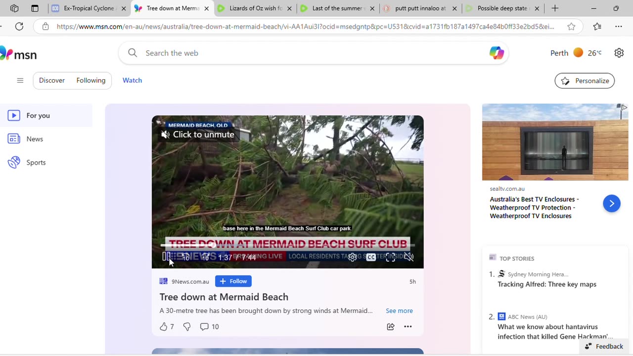 Nine News report from Mermaid Beach about fallen evergreen tree in storm was full of comms