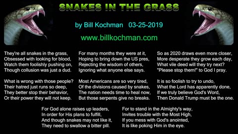 SNAKES IN THE GRASS -- an original song by Bill Kochman.