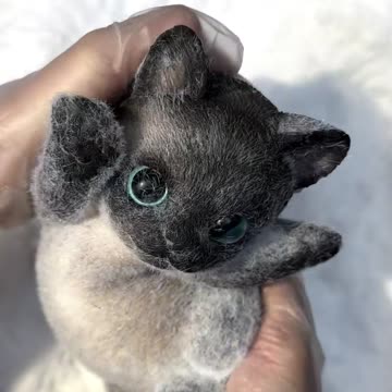 The whole process of making Siamese cat