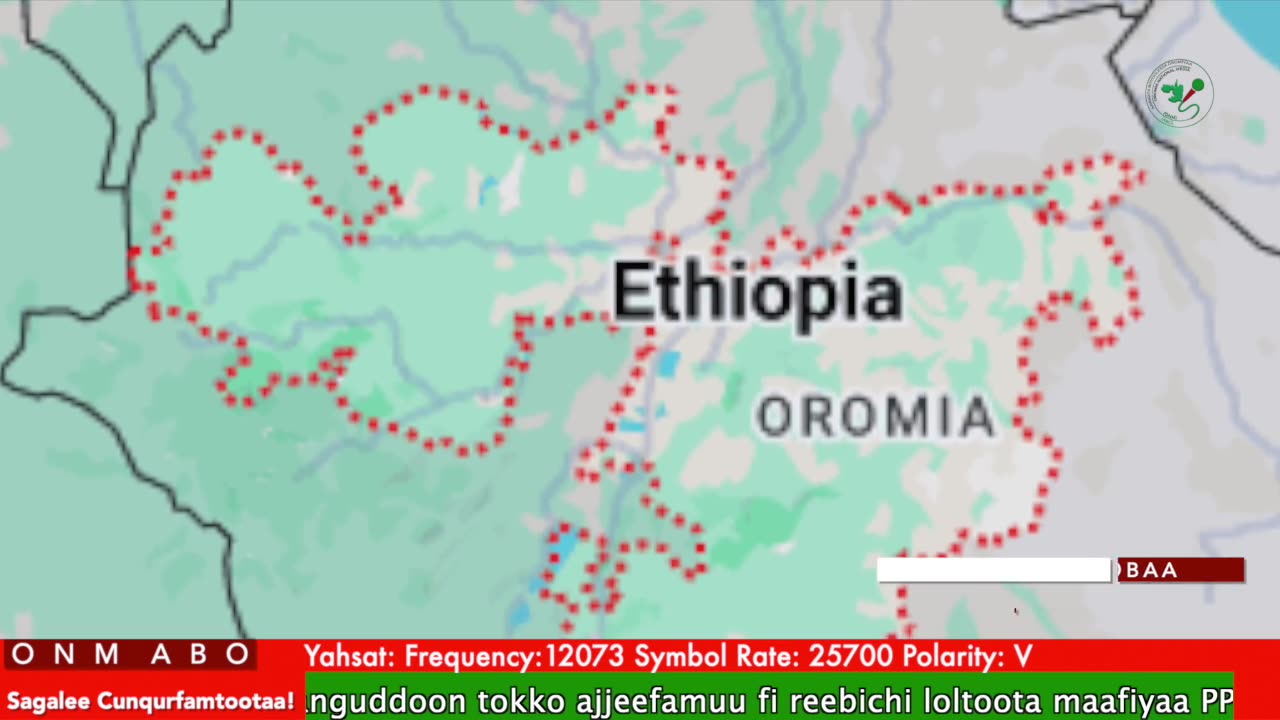 Oduu Galgala ONM-ABO Bitootessa 28-2025 itti dhiyaadhaa!