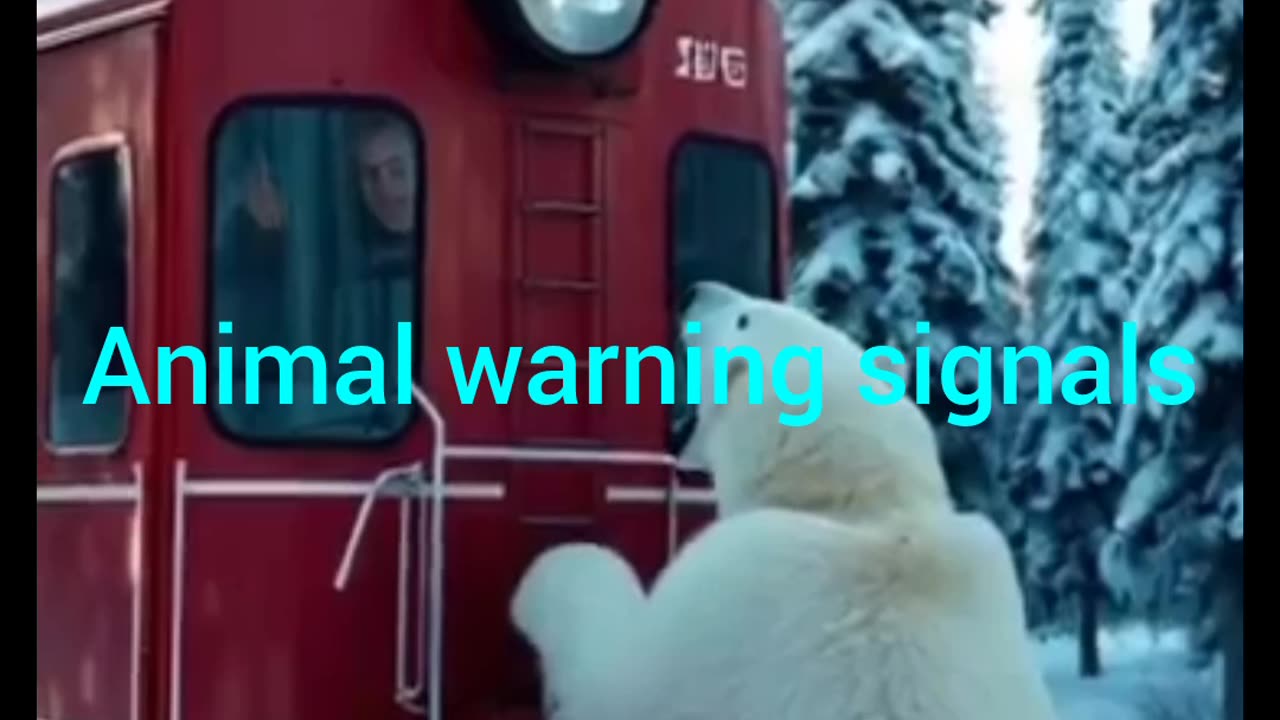 Animal warning signals to humans