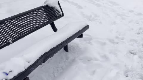 Snow