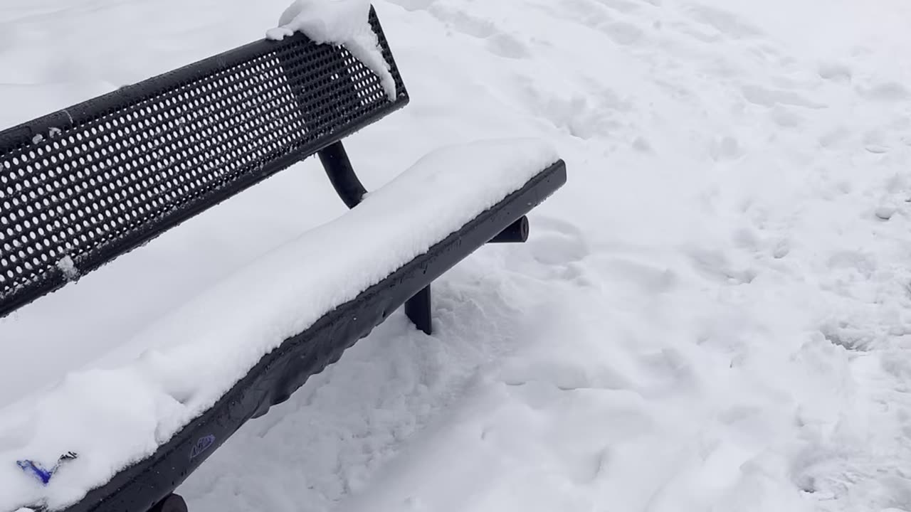 Snow