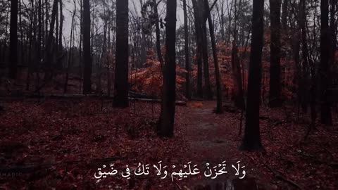 Jaza kallah ♥️✨