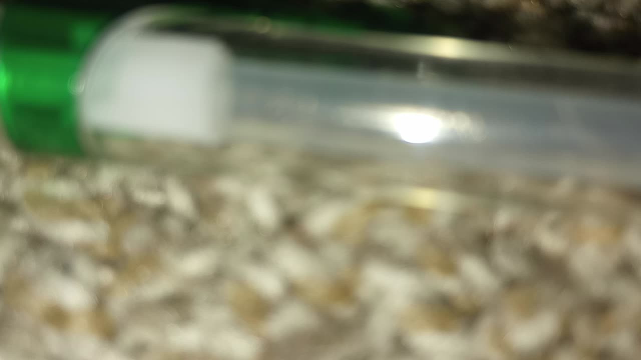 Feb/20/2025