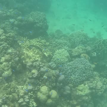 Snorkeling Morning!!