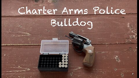 Charter Arms Police Bulldog- a cheaper Colt Detective special. 6 shot .38 revolver