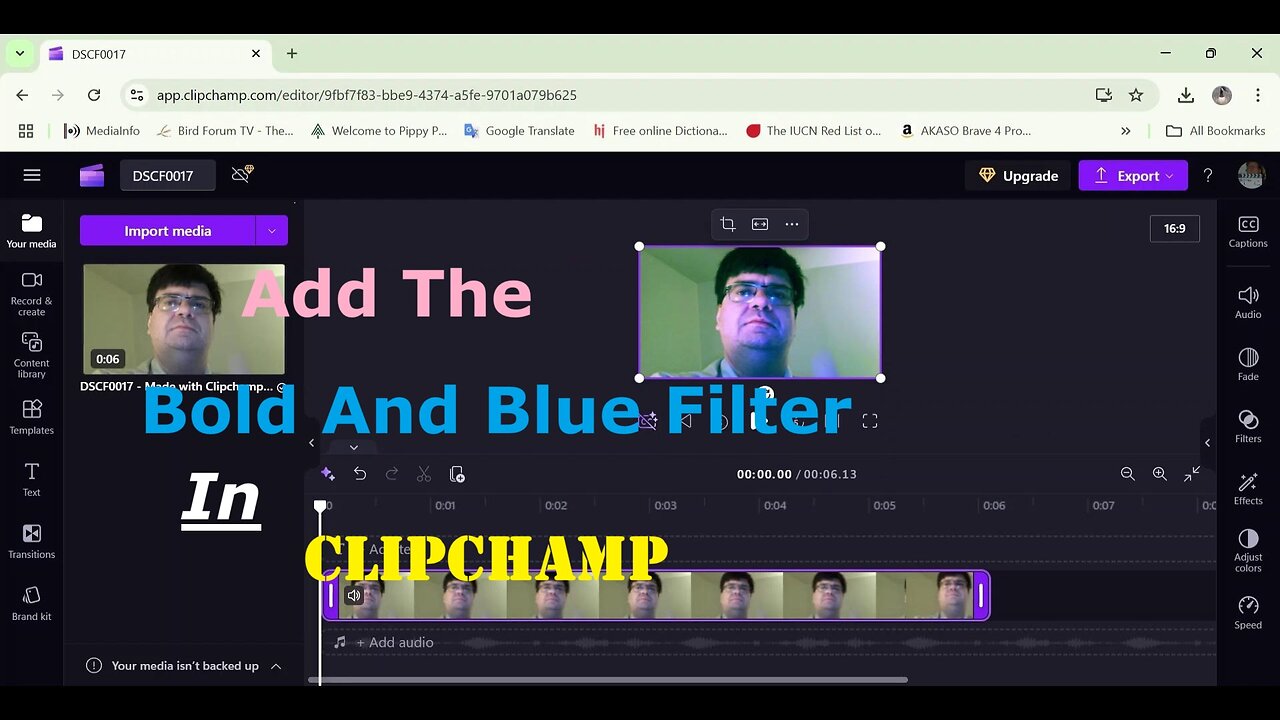 Add The Bold And Blue Filter In Clipchamp