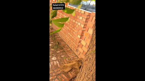 Bricks Knowledge👌