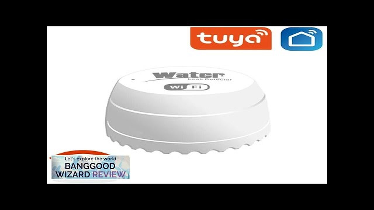 Tuya Smart Wifi Water Detector Leakage Sensor Alarm Leak Detector 40DB Sound Review