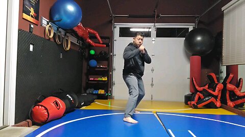 WTD 2 Step Kick Combination 28