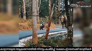 കാട്ടാനയുടെ ആക്രമണത്തിൽ നിന്നും കഷ്ടിച്ച് രക്ഷപ്പെട്ട് യാത്രക്കാർ _ Wild elephant attack kerala