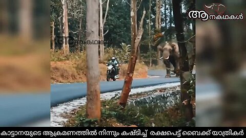 കാട്ടാനയുടെ ആക്രമണത്തിൽ നിന്നും കഷ്ടിച്ച് രക്ഷപ്പെട്ട് യാത്രക്കാർ _ Wild elephant attack kerala