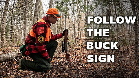 Follow The Buck Sign | Maine Deer Season 2024