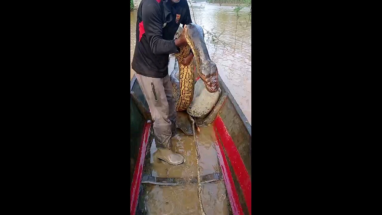 Rio são Félix do xingu Pará Brasil