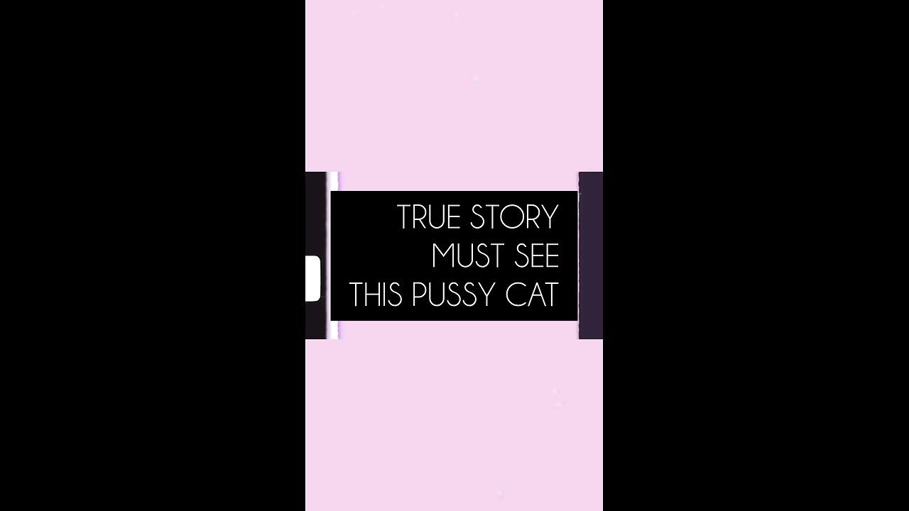 MUST SEE FREE THIS PUSSY CAT