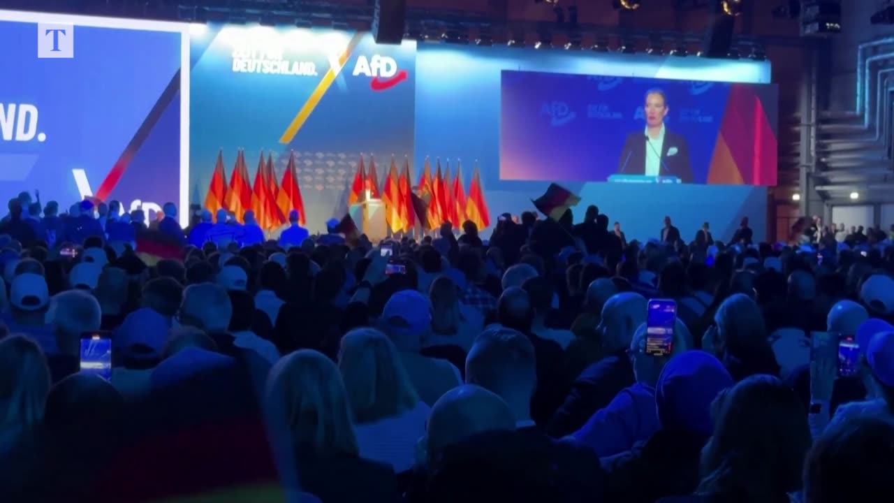 Elon Musk says AfD is Germany’s ‘best hope’ at election rally