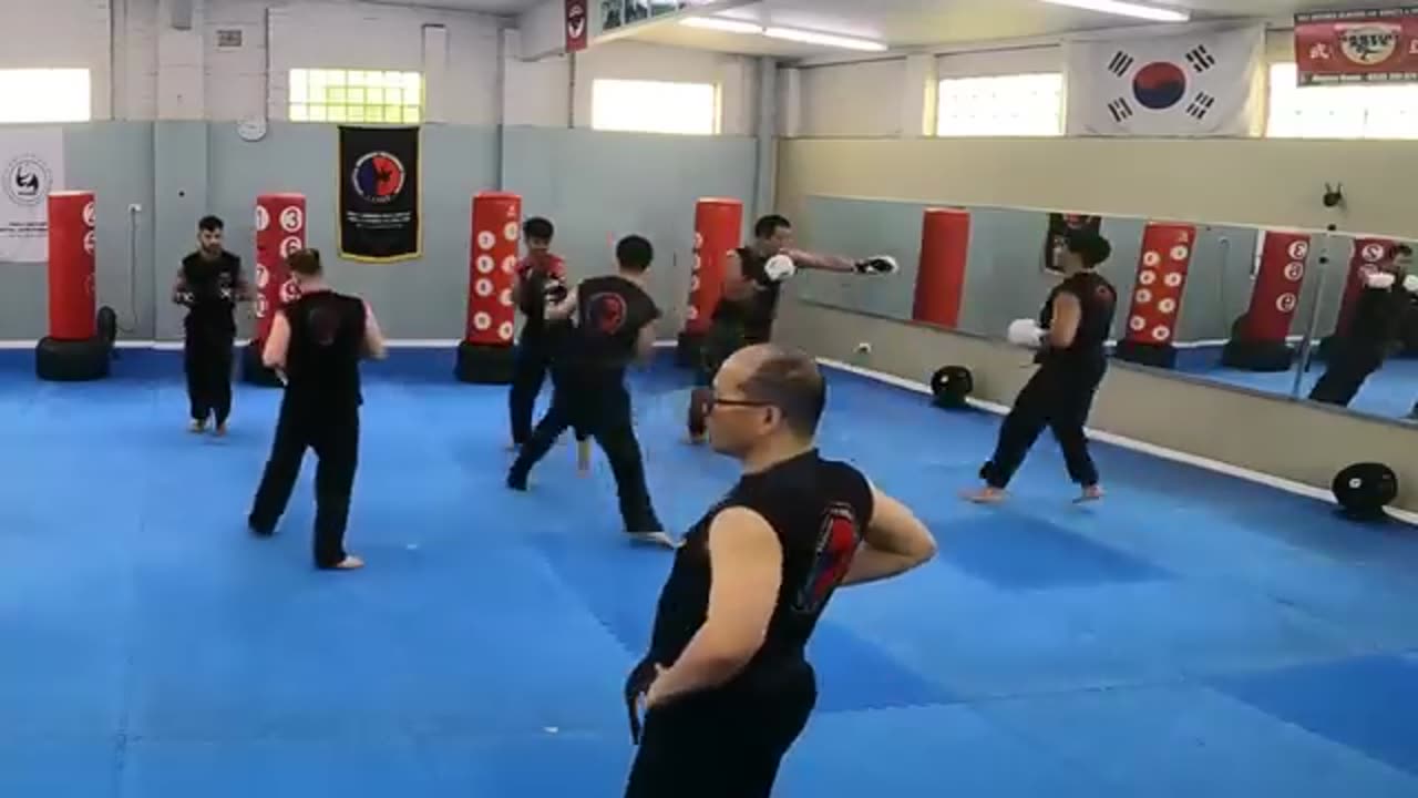 Hapkido