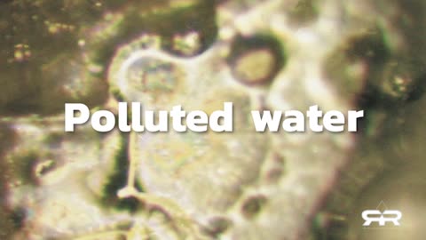 The Miraculous and AMAZING Nature of Water