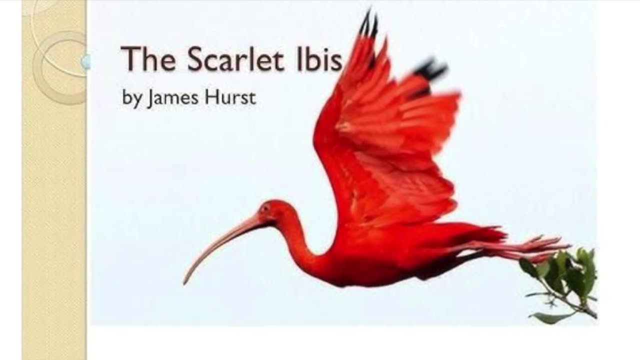 The Scarlet Ibis by James Hurst