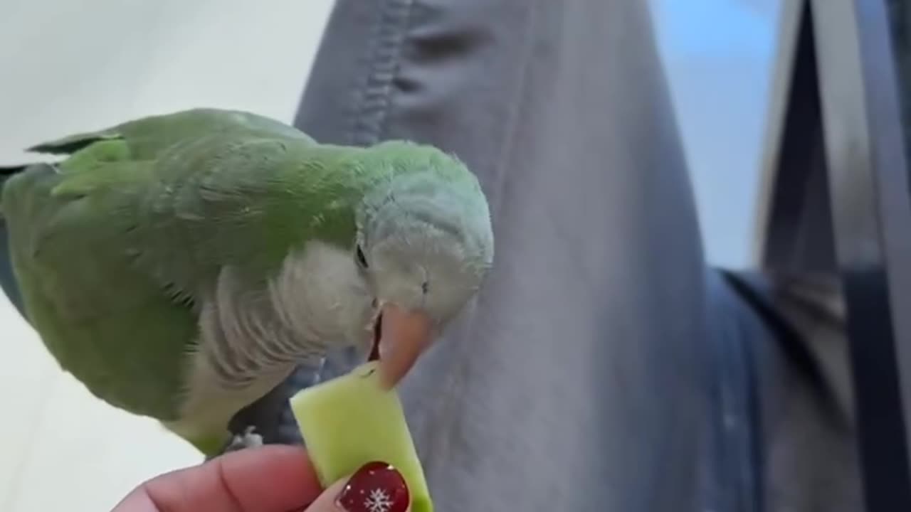 Sharing snacks
