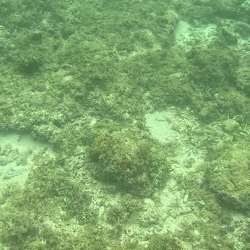 Snorkeling Morning!!