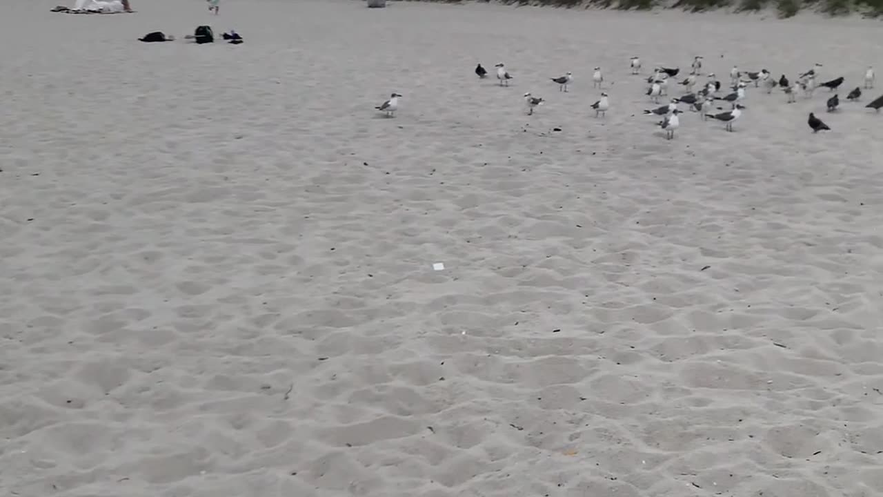 Miamii Beach