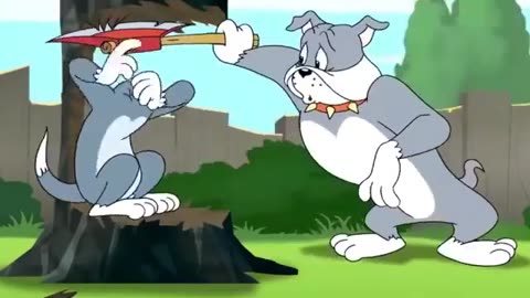 Tom and jerry funny carton