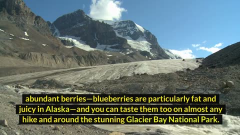 top 10 best places to visit in USA in 2025