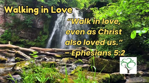 Feeling Lost? Find Hope and Clarity Through God’s Word Today - Walking in Love #DailyDevotions