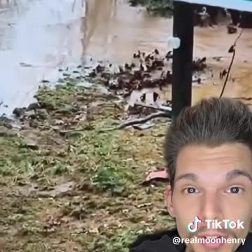 RMH - Virginia looks TERRIBLE it REMINDS ME of something