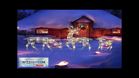 Iron Art Elk Deer Christmas Garden Decor LED Light Glowing Glitter Reindeer Review