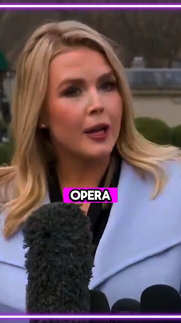 Press Secretary Explains Waste And Fraud In Government Spending #elonmusk #whitehouse #alexrwagner