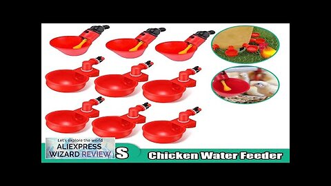 5/10PCS Automatic Chicken Water Feeder Drinking Cups Poultry Kit for Chicks Duck Review