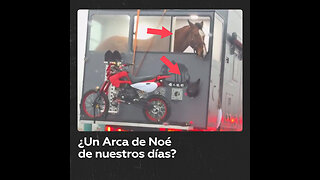 Un ‘Arca de Noé’ sobre ruedas