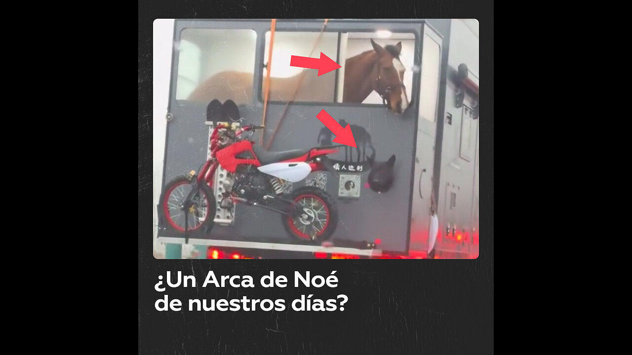 Un ‘Arca de Noé’ sobre ruedas