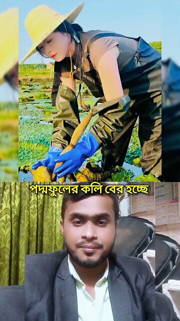 পদ্মফুলের কলি বের হচ্ছে 🌼😱💯 #viral #shorts #amazing