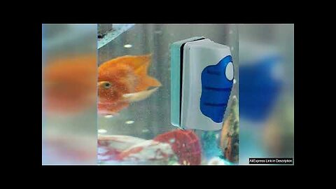 Fish Tank Glass Scraper Cleaner Floating Aquarium Cleaner Super Magnetic Clean Brush Review