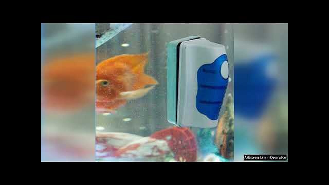 Fish Tank Glass Scraper Cleaner Floating Aquarium Cleaner Super Magnetic Clean Brush Review