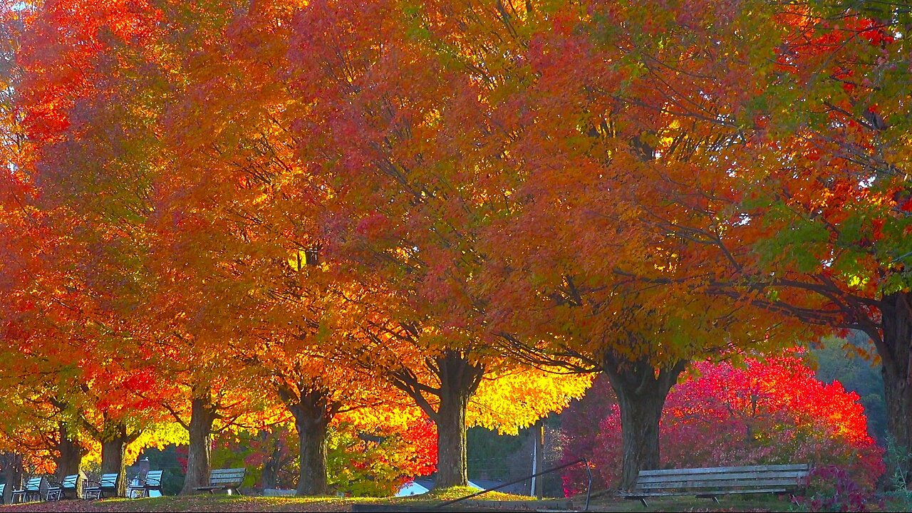 Autumn in Malone, New York