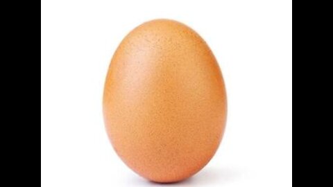 Vitamin Egg!