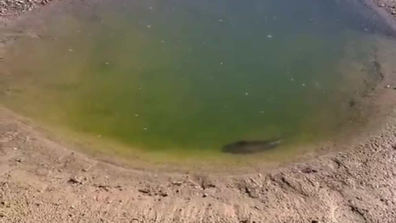 What lesson did you learn from this?